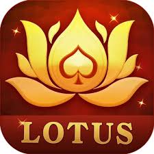 teen patti new app 2024 download